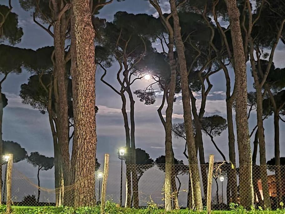 ローマ La Casa Della Pinetaヴィラ エクステリア 写真